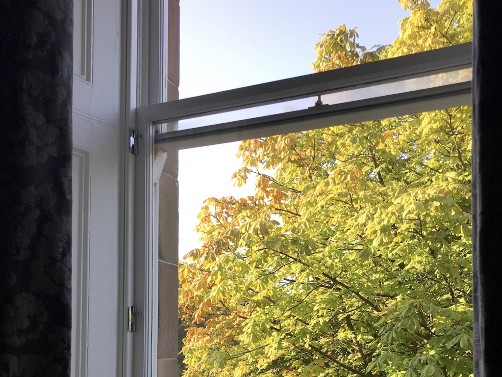 Fenster in Glasgow