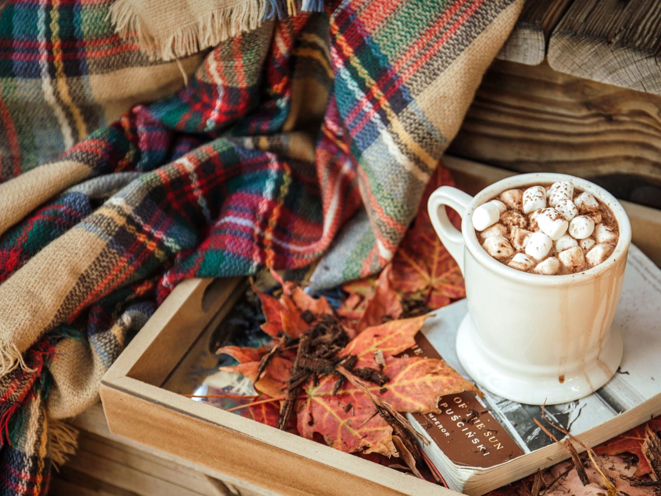 Schottland-Gefühl heißt es sich gemütlich machen wie in Schottland: mit Tartan-Decke und einem Becher heißer Schokolade mit Marshmallows